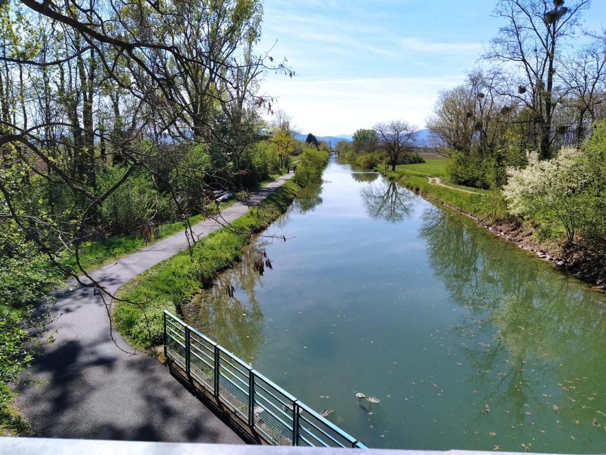 Les Gîtes côté Blind tout confort proche Colmar Bischwihr Exterior foto