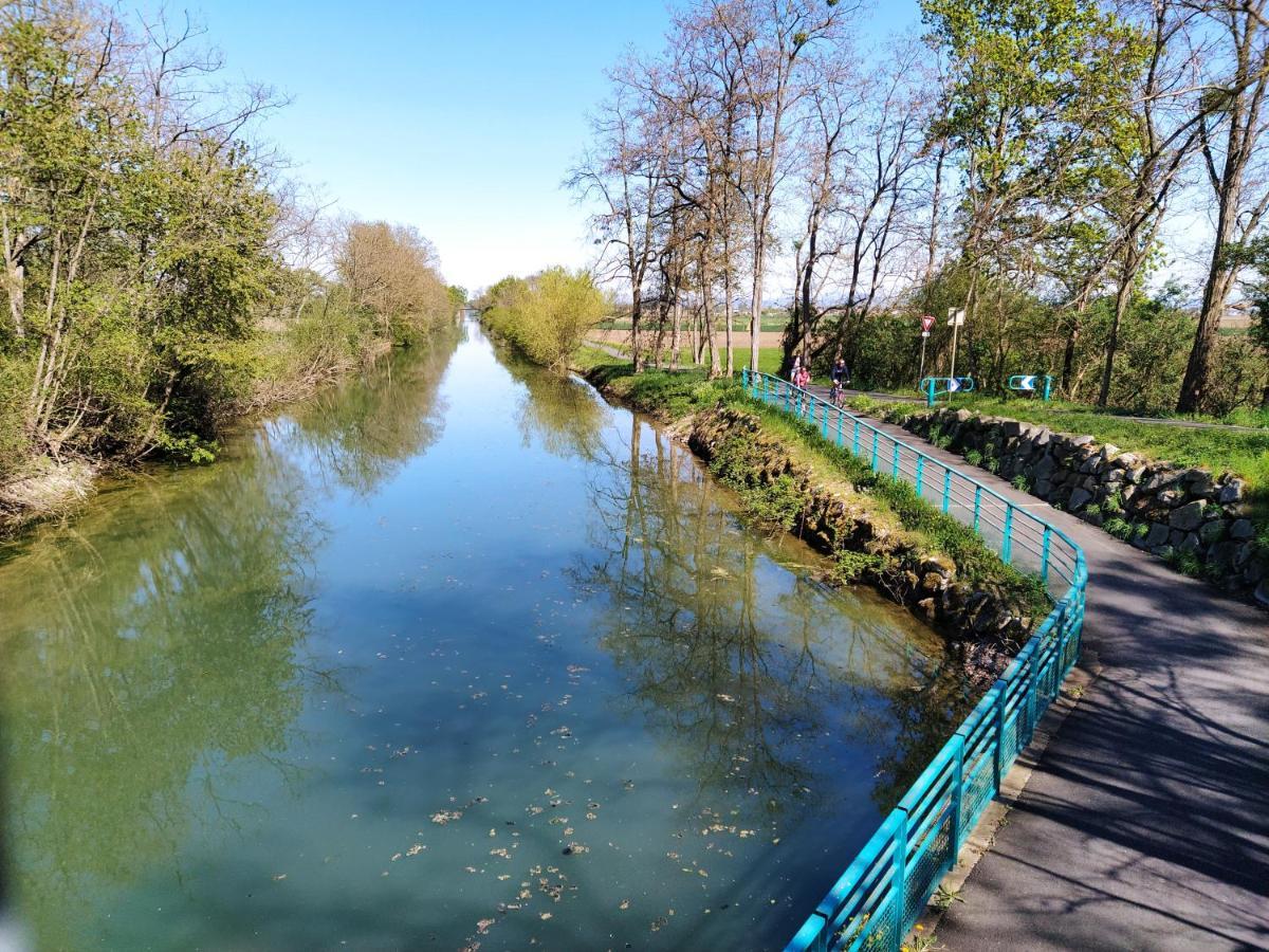 Les Gîtes côté Blind tout confort proche Colmar Bischwihr Exterior foto